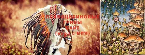 тгк Алексеевка