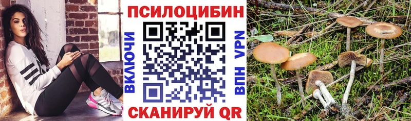 Псилоцибиновые грибы GOLDEN TEACHER Алзамай